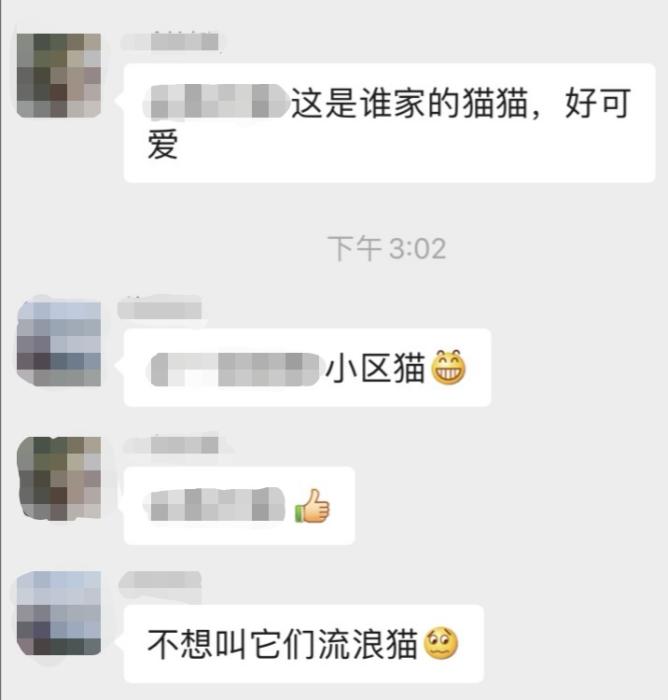 ��Ƶ��ͼ