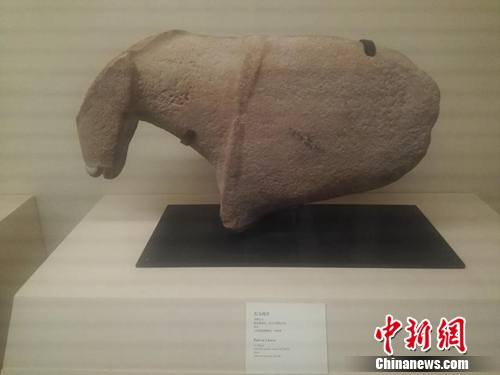 展厅中的石马残件。上官云 摄 展厅中的石马残件。上官云 摄