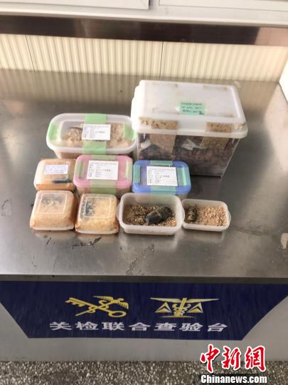 ���Ϻ���װ��ľм�ͱ�ֽ��ÿ��С����װ��һֻ�׳档���ܹ��� ��